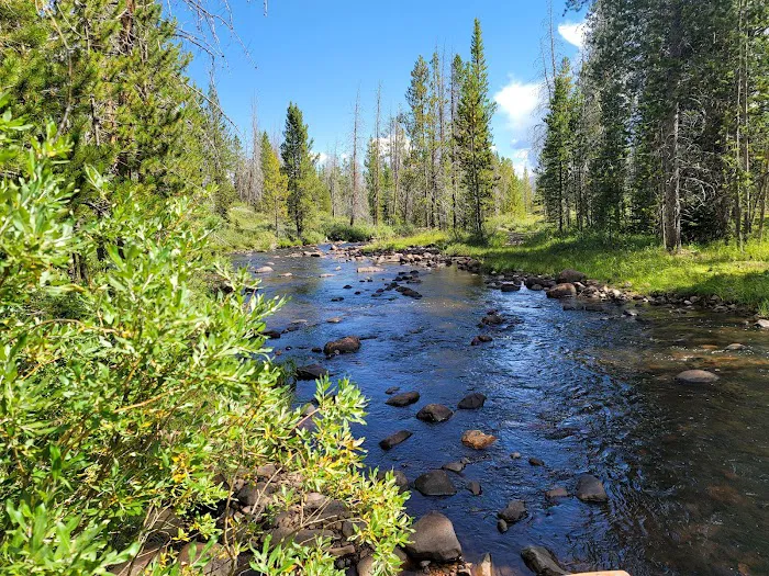 Beaver View Campground Picture 4