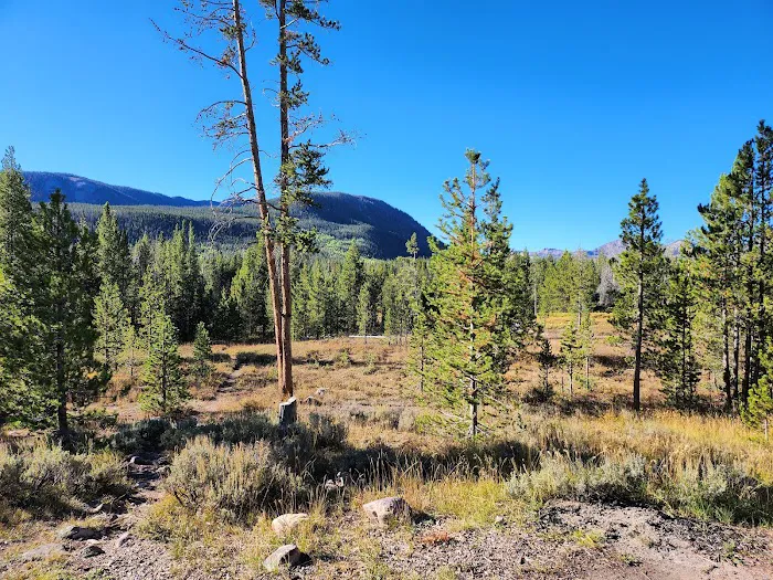 Beaver View Campground Picture 6