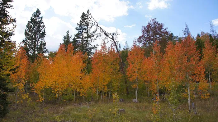 Beaver View Campground Picture 8