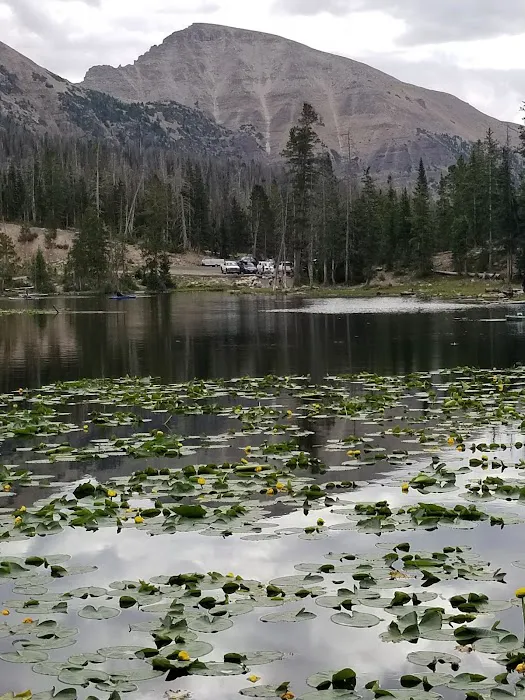 Butterfly Lake Campground Picture 9