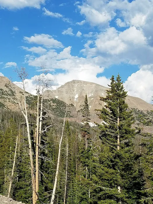 Butterfly Lake Campground Picture 8