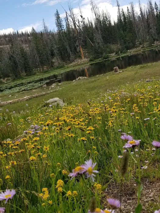 Butterfly Lake Campground Picture 4