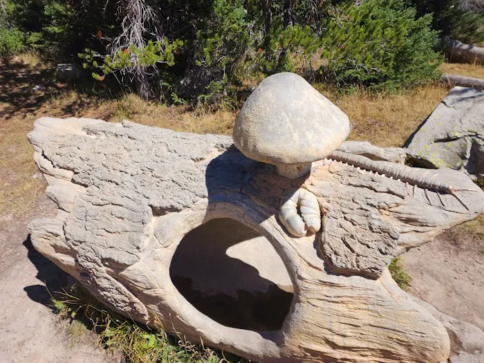 Mirror Lake Campground Picture 6