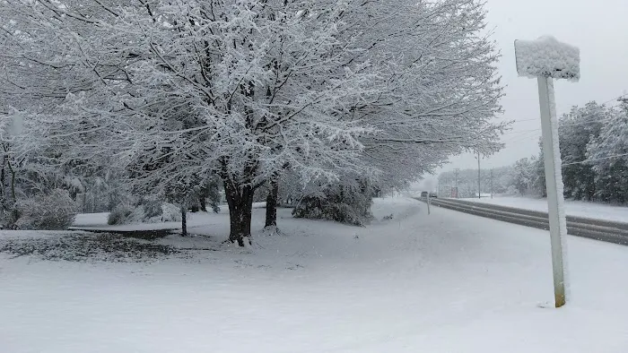 Big Oak RV Park Picture 10