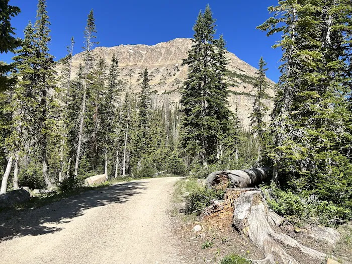 Moosehorn Campground Picture 4