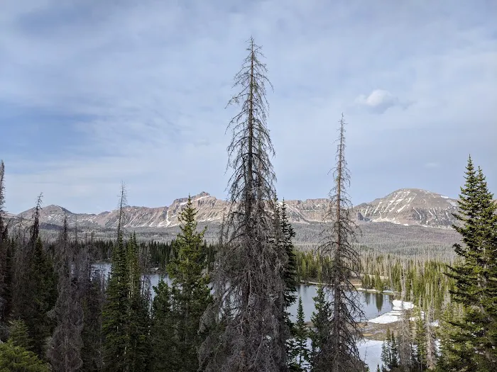 Moosehorn Campground Picture 2