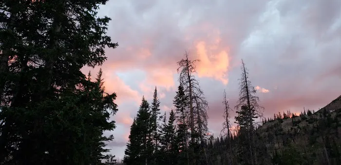 Moosehorn Campground Picture 1