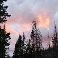 Moosehorn Campground ico