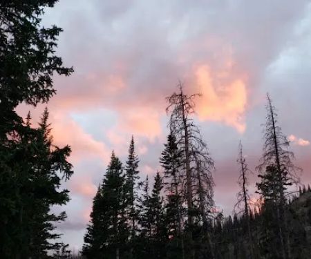 Moosehorn Campground