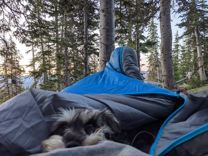 Moosehorn Campground Picture 6