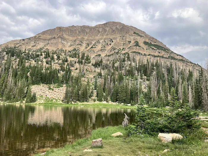 Moosehorn Campground Picture 5