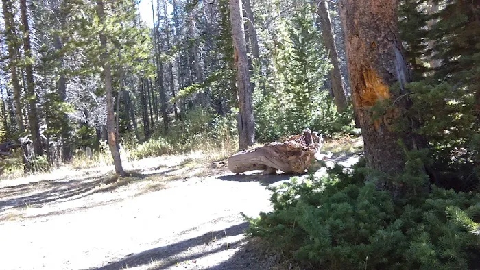 Hayden Fork Campground Picture 10