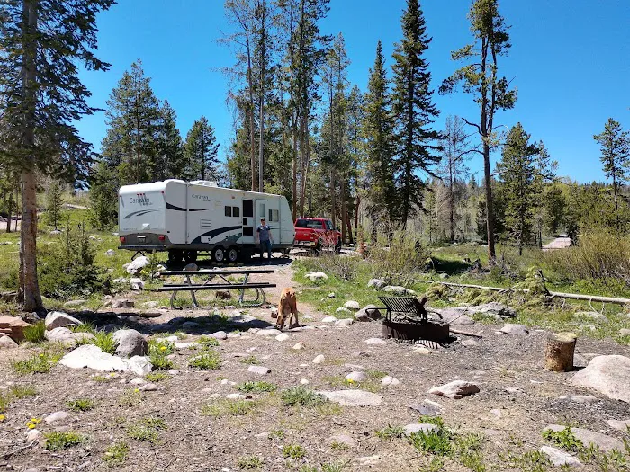 Hayden Fork Campground Picture 5