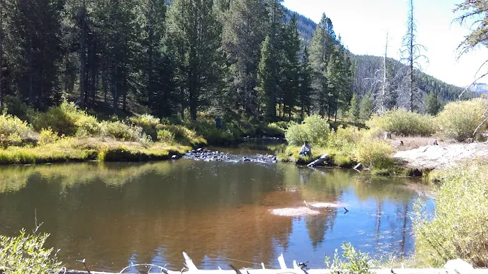 Hayden Fork Campground Picture 9