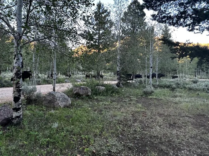 Hades Campground Picture 4