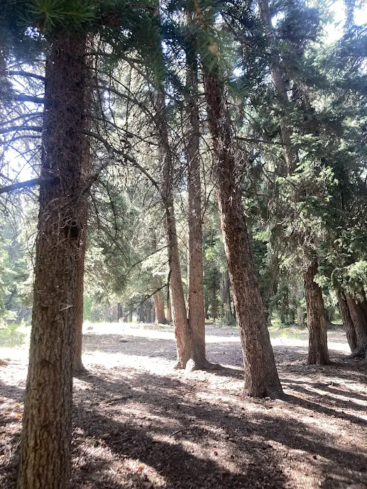 Hades Campground Picture 7