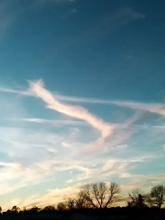 Plantation Mobile Home Park Picture 3