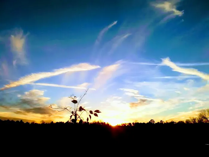 Plantation Mobile Home Park Picture 2