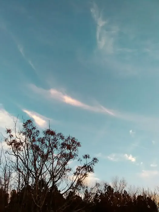 Plantation Mobile Home Park Picture 1