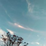 Plantation Mobile Home Park