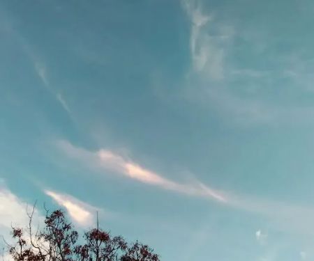 Plantation Mobile Home Park