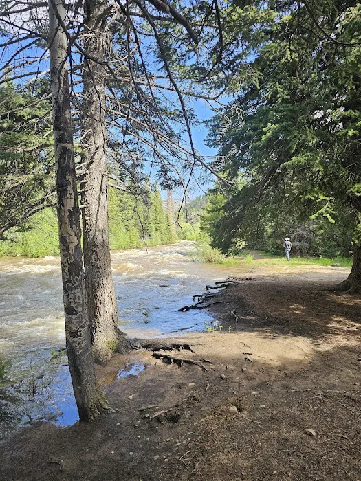 Aspen Campground Picture 10