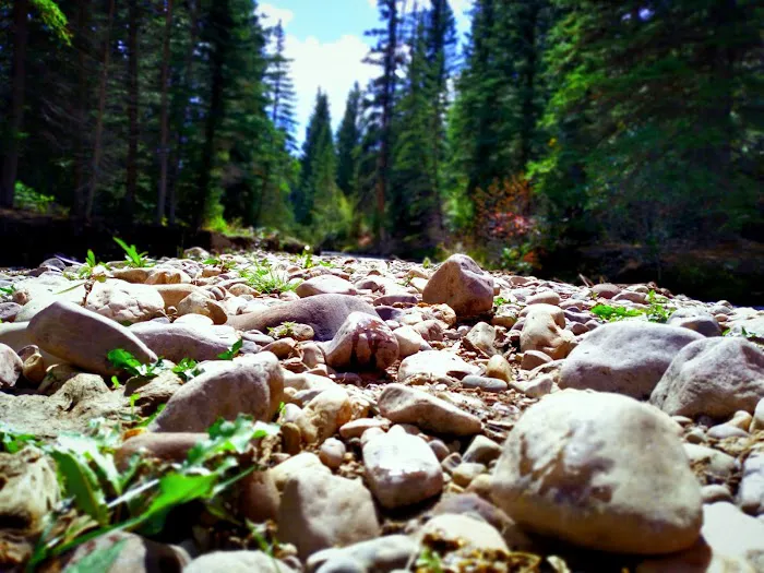 Aspen Campground Picture 1