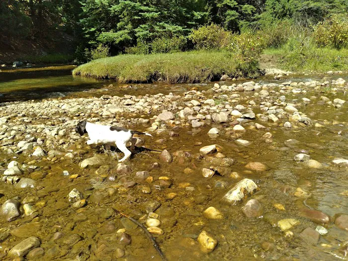 Aspen Campground Picture 5