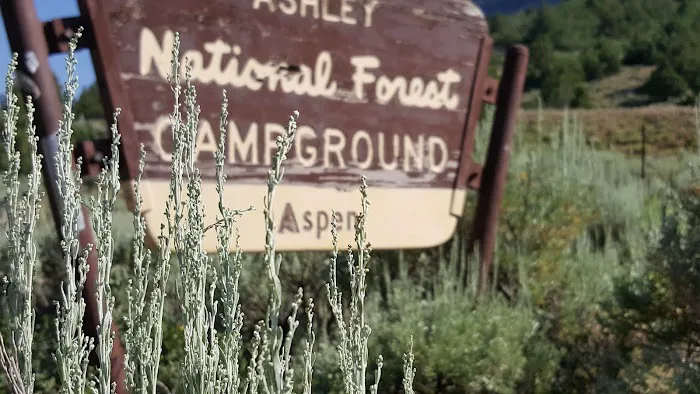 Aspen Campground Picture 2