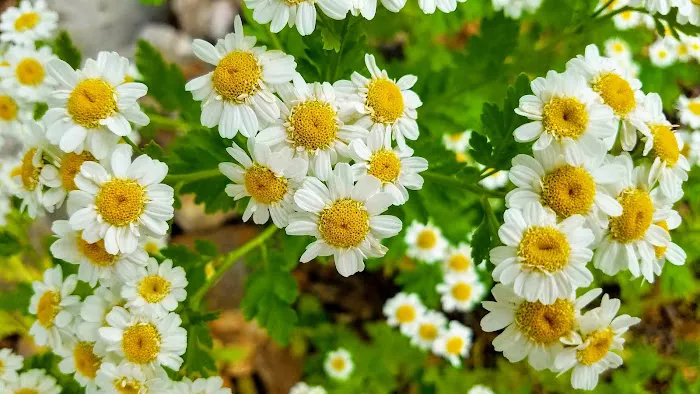 Warm Springs Retreat Picture 7