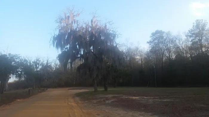 Towns Bluff Park & Heritage Center Picture 5