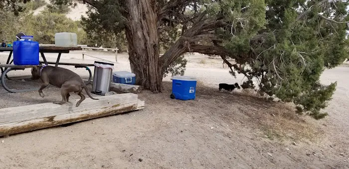 Oasis Campground Picture 2