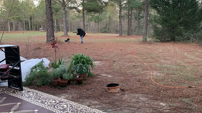 Shady Pines RV Park Picture 1