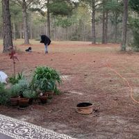 Shady Pines RV Park ico