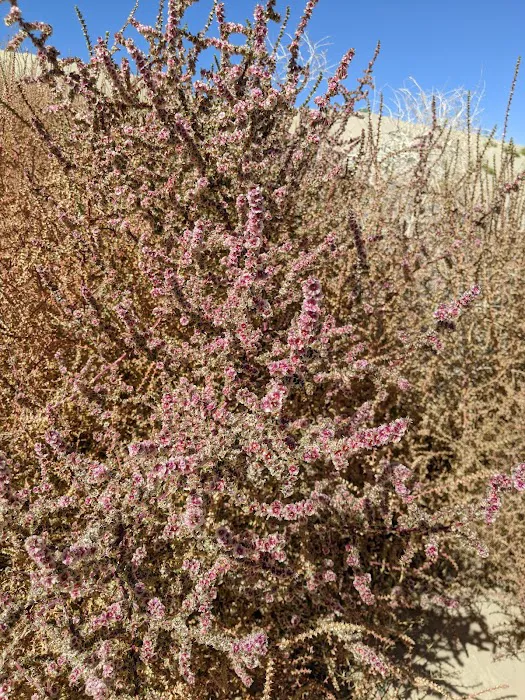 Jericho Picnic & Campground Picture 3