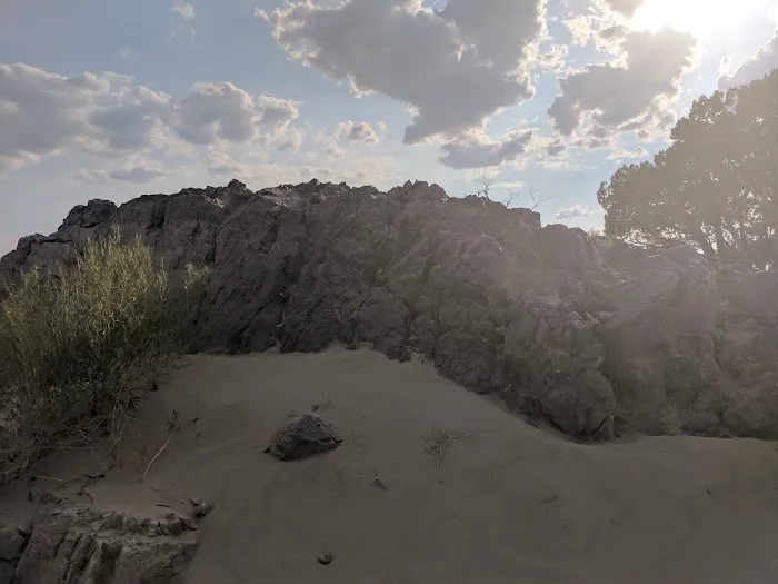 Jericho Picnic & Campground Picture 4