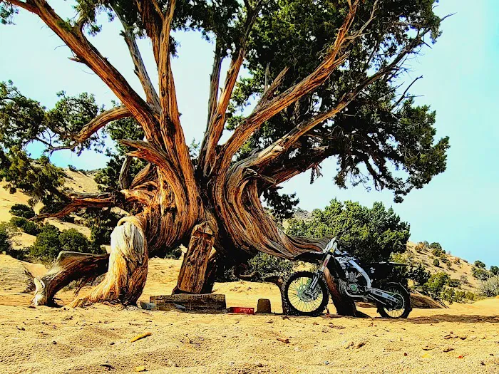 Sand Mountain Campground Picture 9