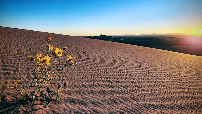 Sand Mountain Campground Picture 4