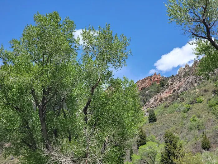 Bear Canyon Campground Picture 1