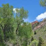 Bear Canyon Campground