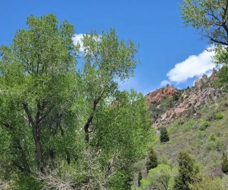 Bear Canyon Campground