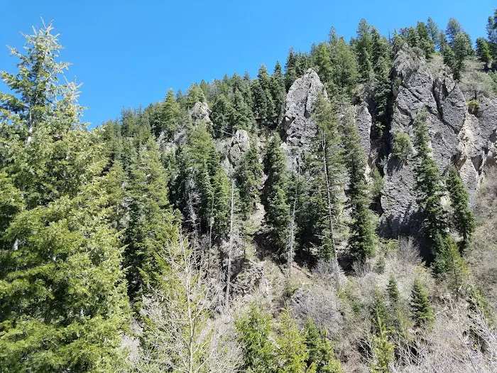 Bear Canyon Campground Picture 2