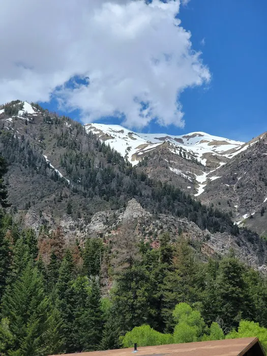 Bear Canyon Campground Picture 3