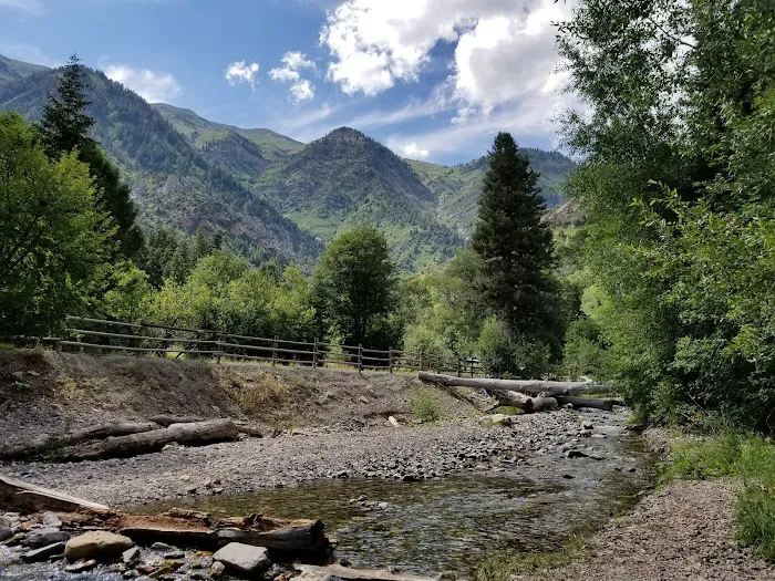 Bear Canyon Campground Picture 5