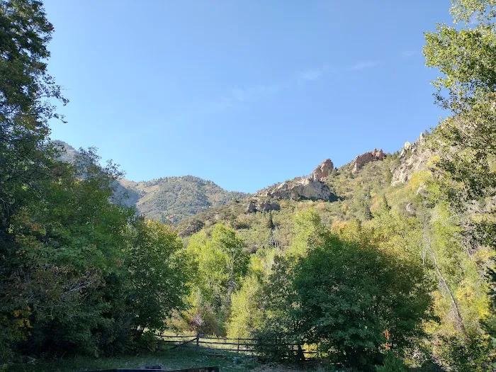 Bear Canyon Campground Picture 7