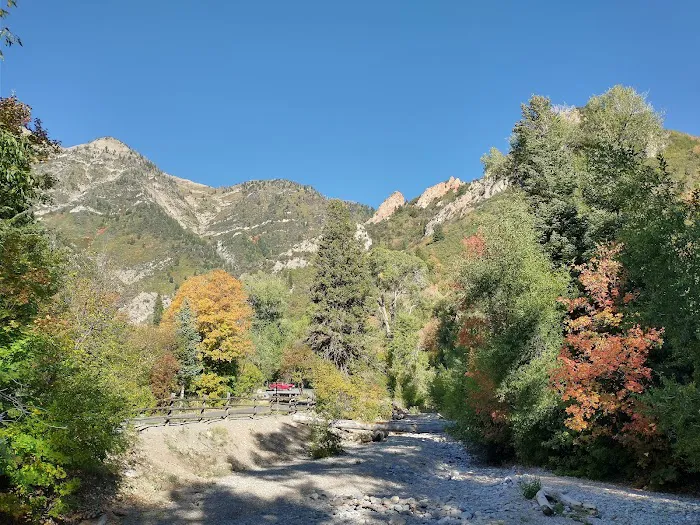 Bear Canyon Campground Picture 6