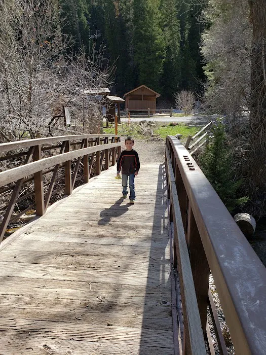 Bear Canyon Campground Picture 4