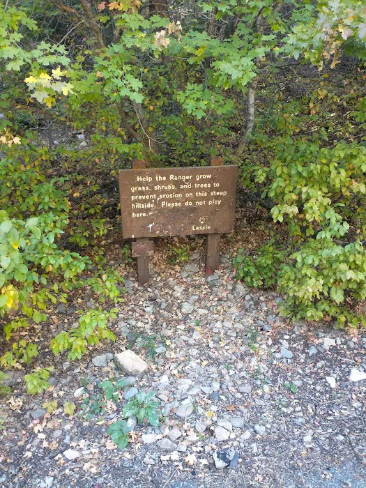 Bear Canyon Campground Picture 9