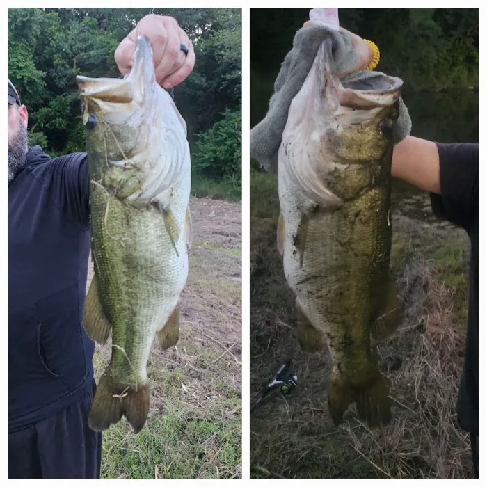 Southern Pines RV Park Picture 9