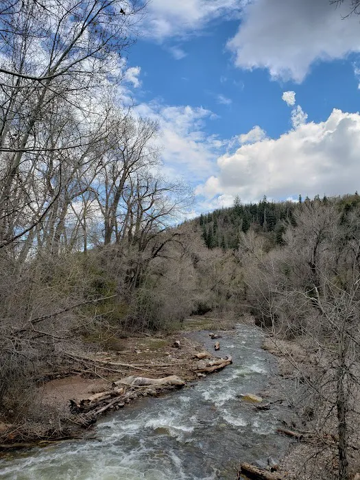 Cottonwood Campground Picture 1